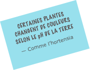 Certaines plantes changent de couleurs selon le pH de la terre
— Comme l’hortensia